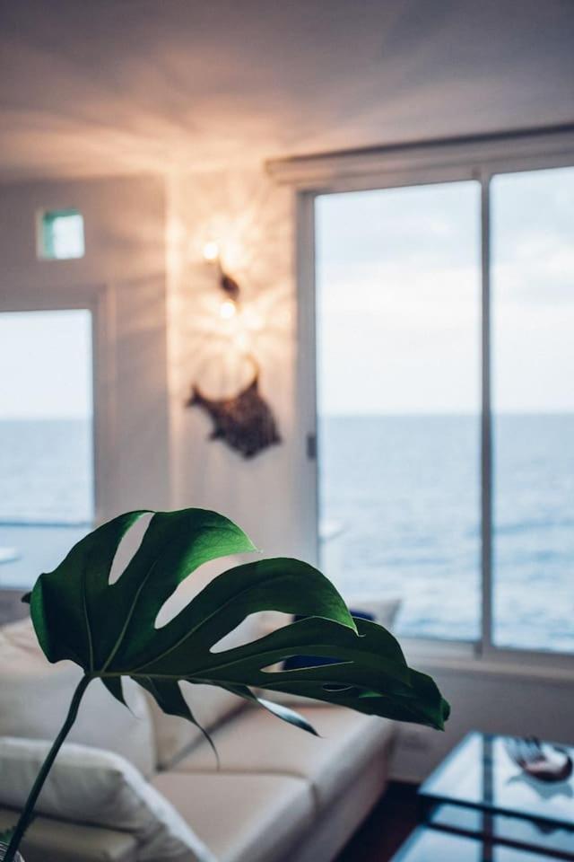 Canary Casita Next To The Atlantic Ocean Radazul Habitación foto